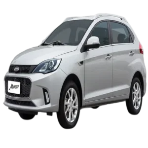 ام-وی-ام-315 دسته بندی